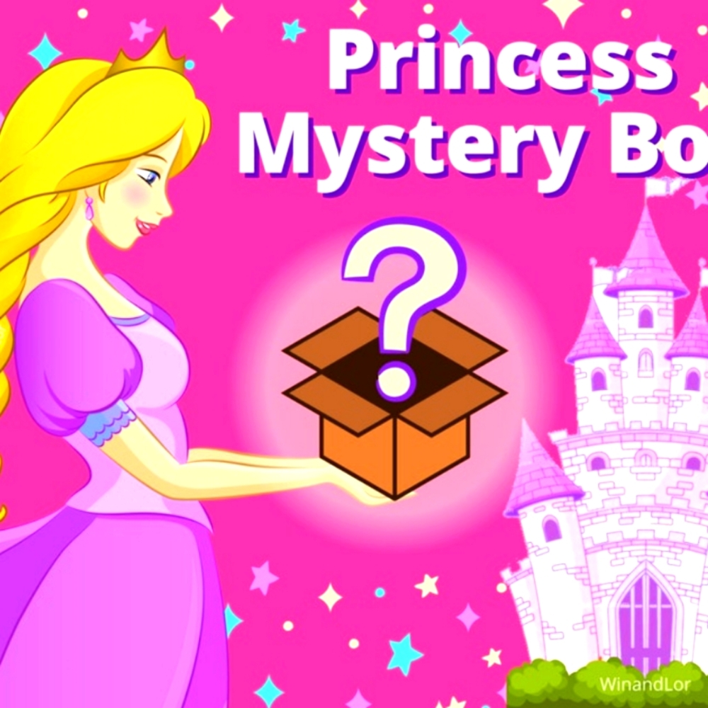 Princess Beauty Mystery Box